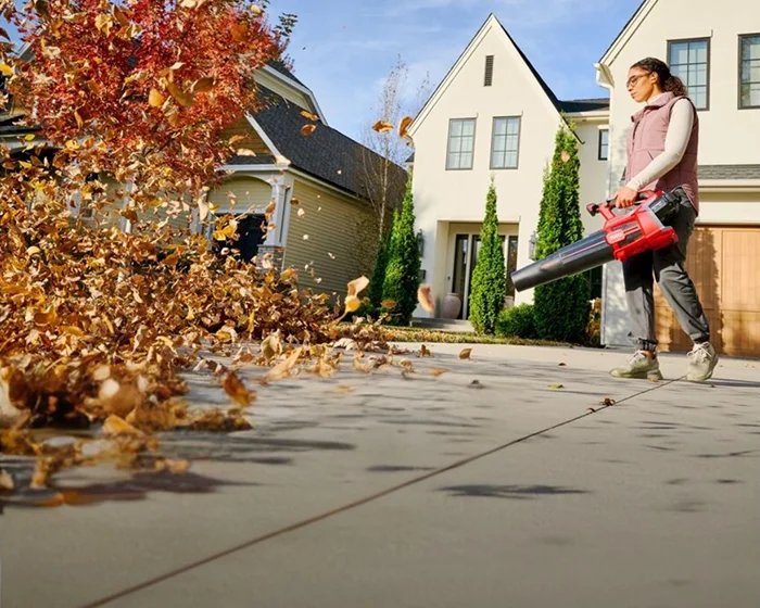 Toro 60V MAX Leaf Blower 51826