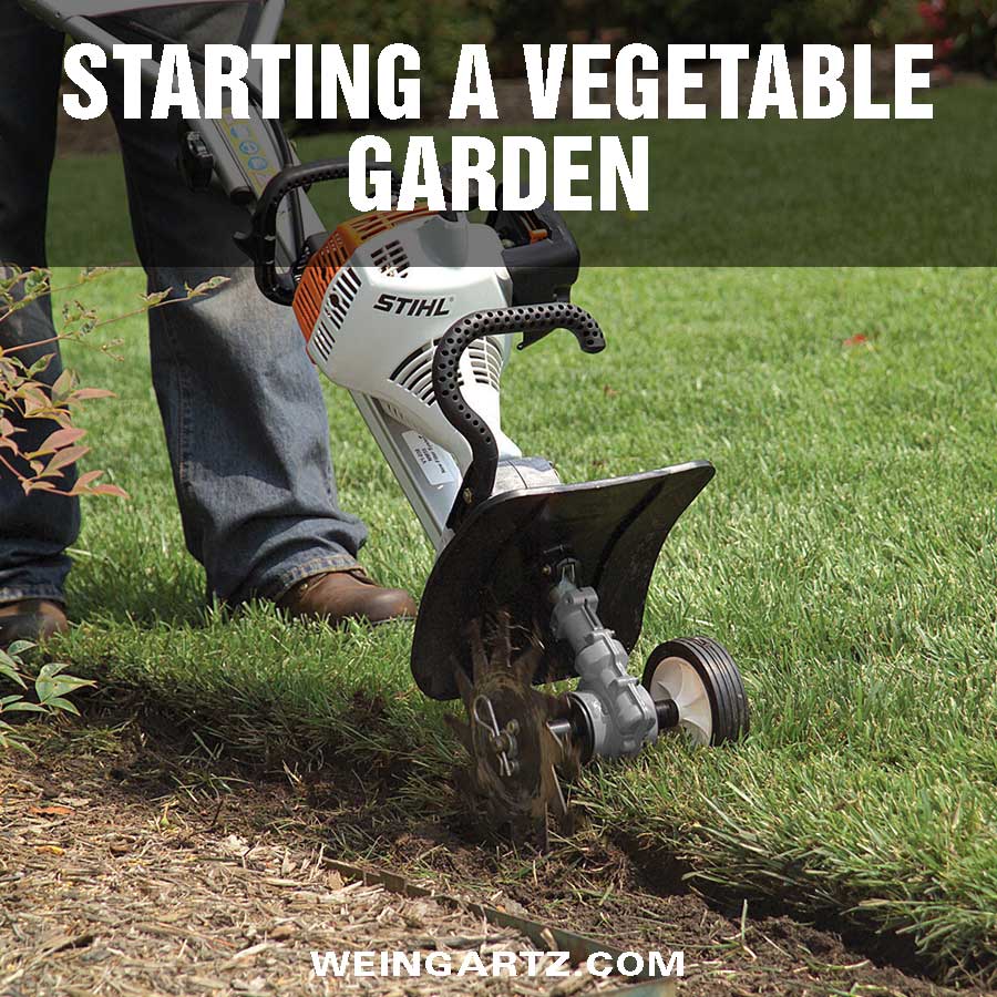 Starting-a-vegetable-garden - Featured Image