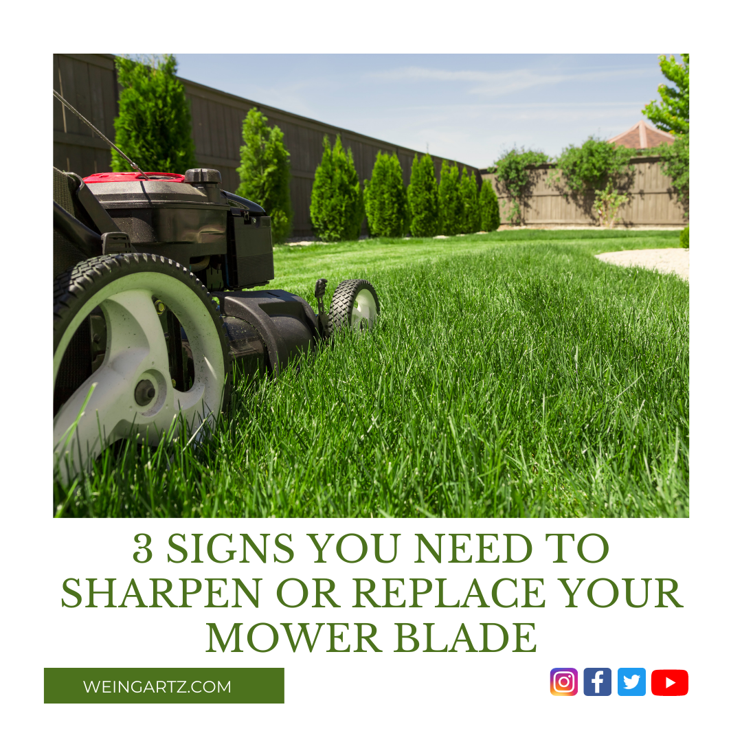 3 SIGNS YOU NEED TO SHARPEN OR REPLACE YOUR MOWER BLADE