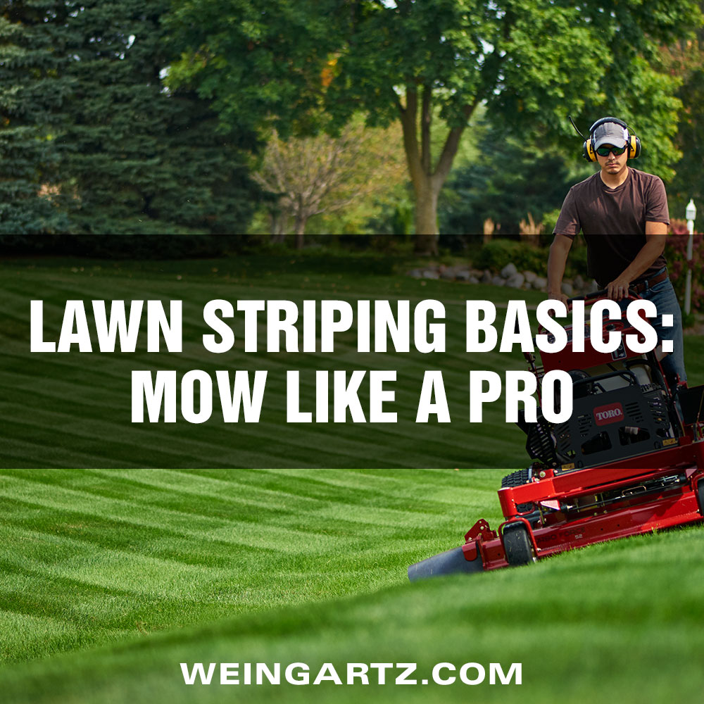 Lawn Striping Basics