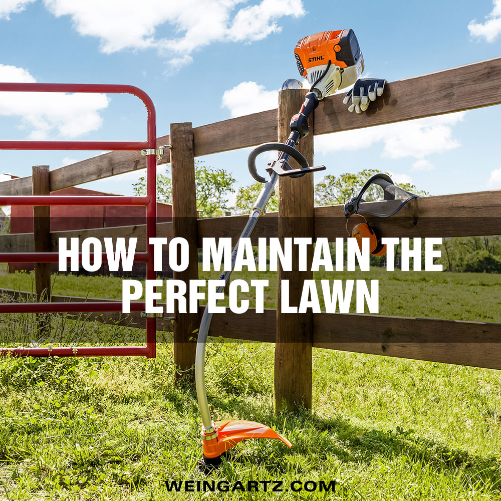 How to Maintain the Perfect Lawn