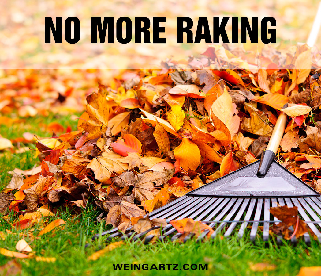 No-More-Raking - Featured Image