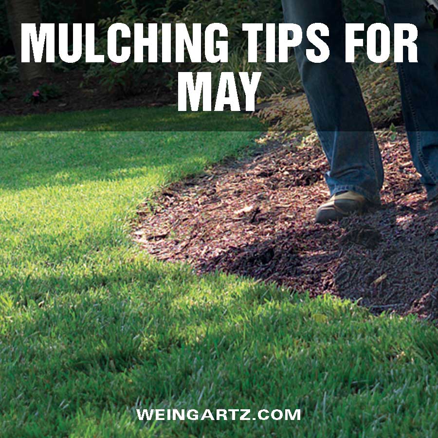 Mulching-Tips-For-May - Featured Image