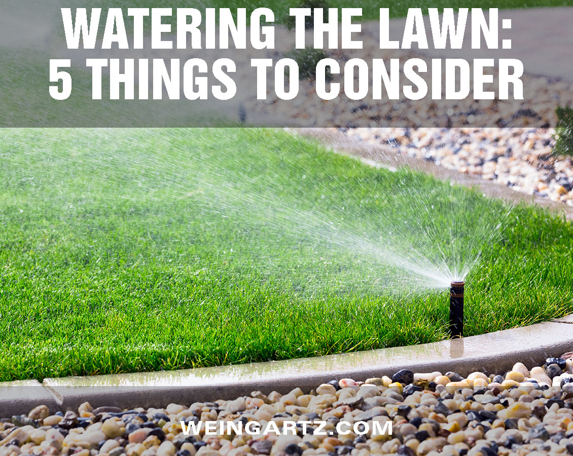 Watering-the-Lawn - Featured Image