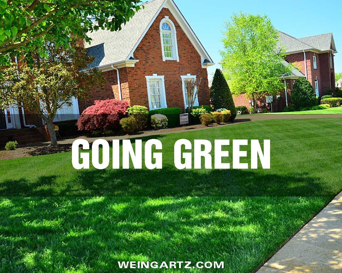 Going-Green - Featured Image