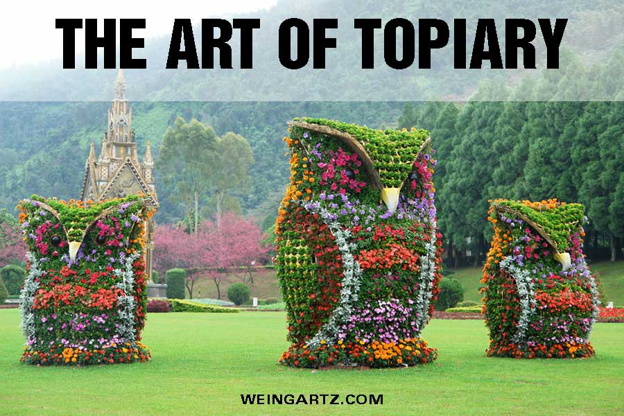 The-Art-of-Topiary - Featured Image
