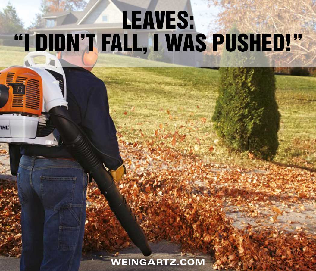 I-Didn't-Fall-I-Was-Pushed - Featured Image