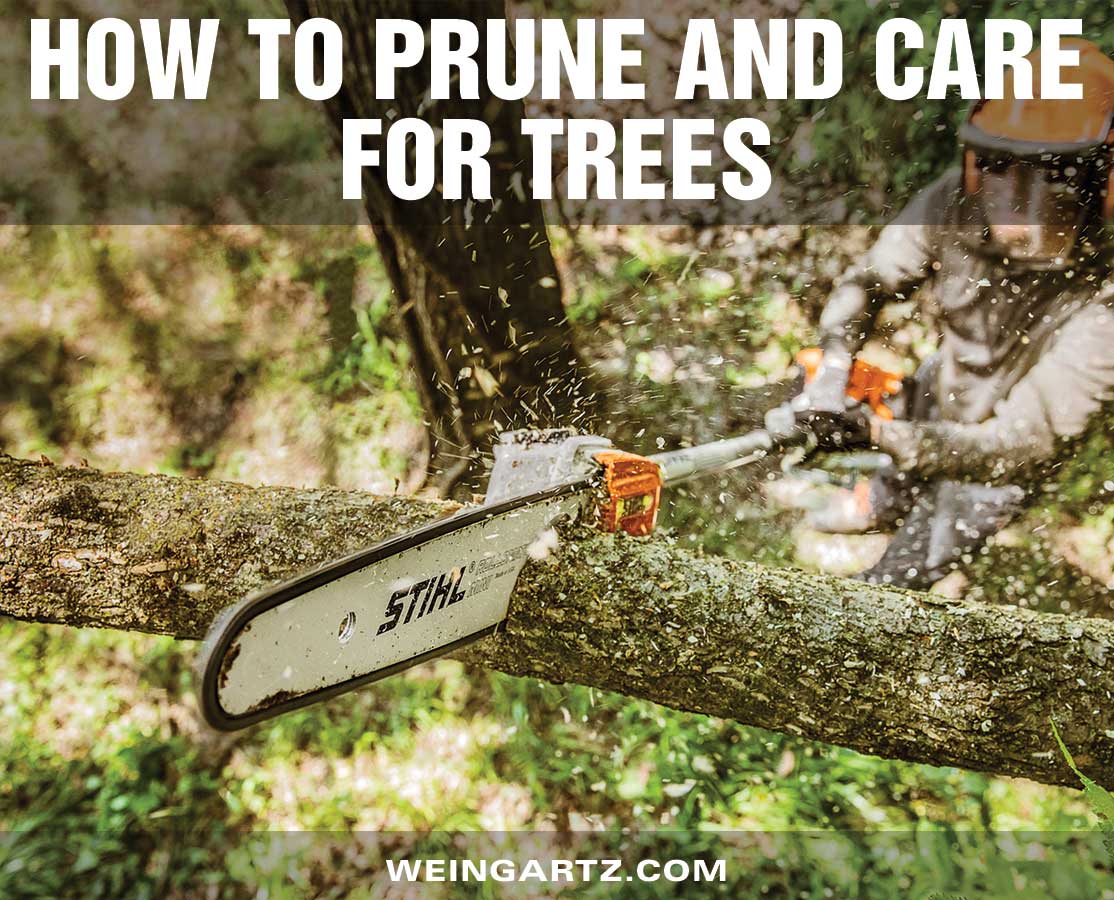 How-to-Prune-and-Care-for-Trees