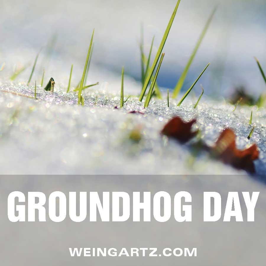 Groundhog Day