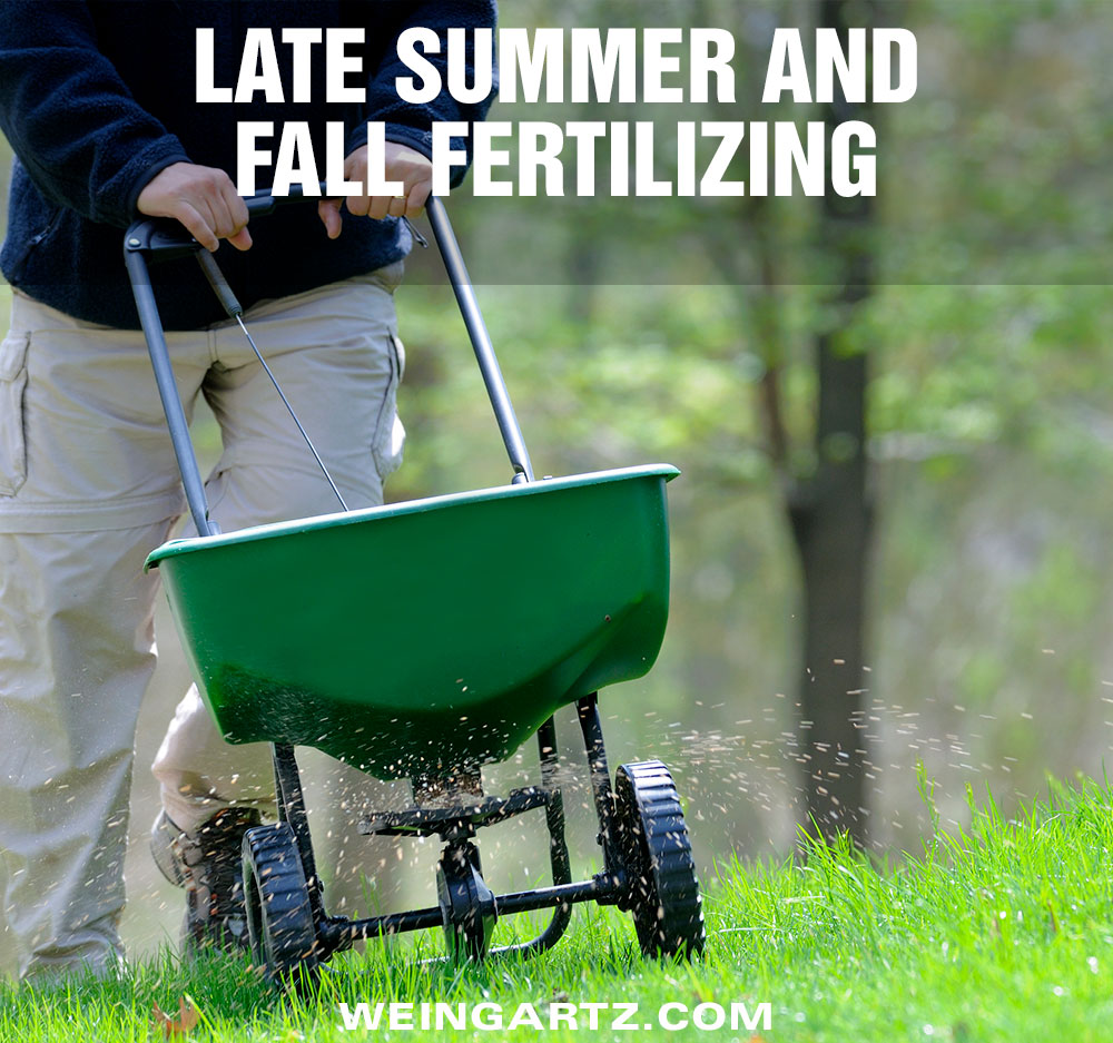 Late Summer and Fall Fertilizing