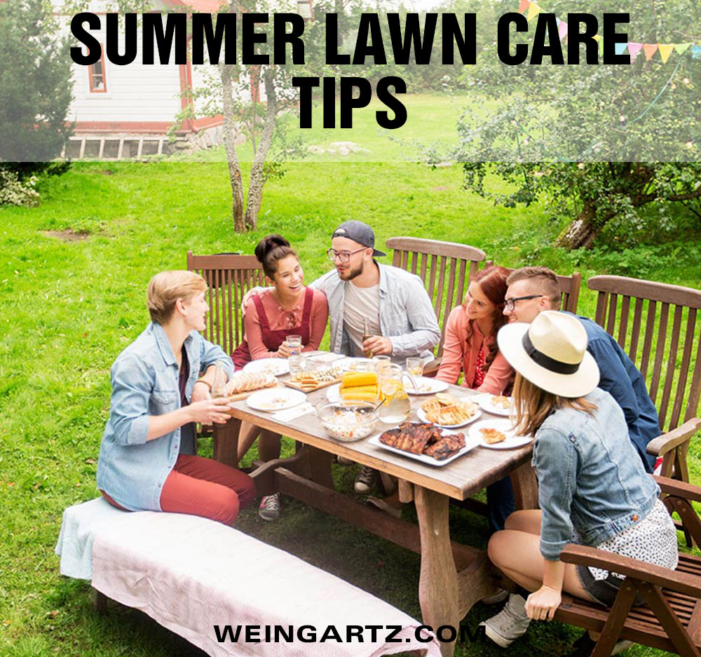 Summer Lawn Care Tips