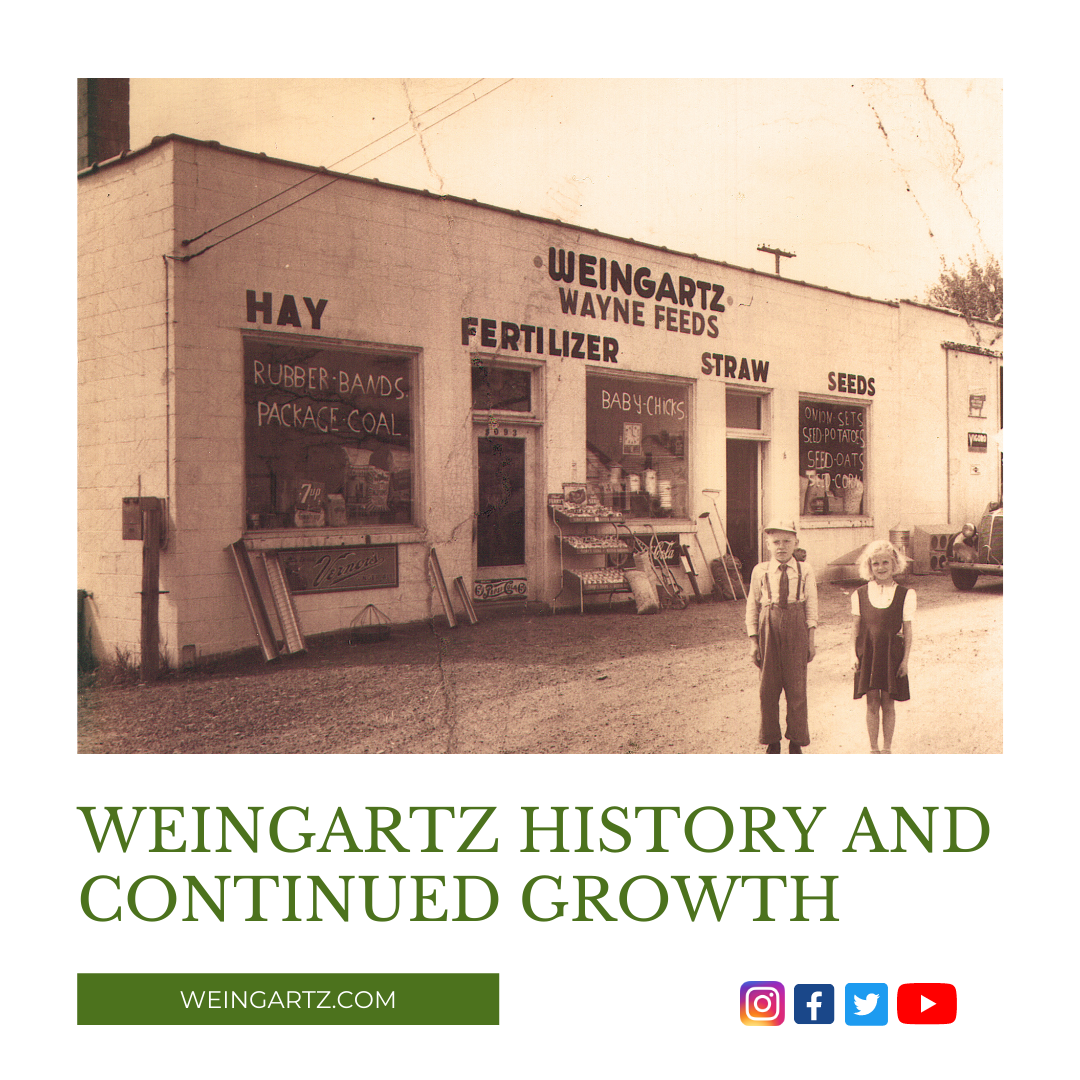 Weingartz History and Continued Growth