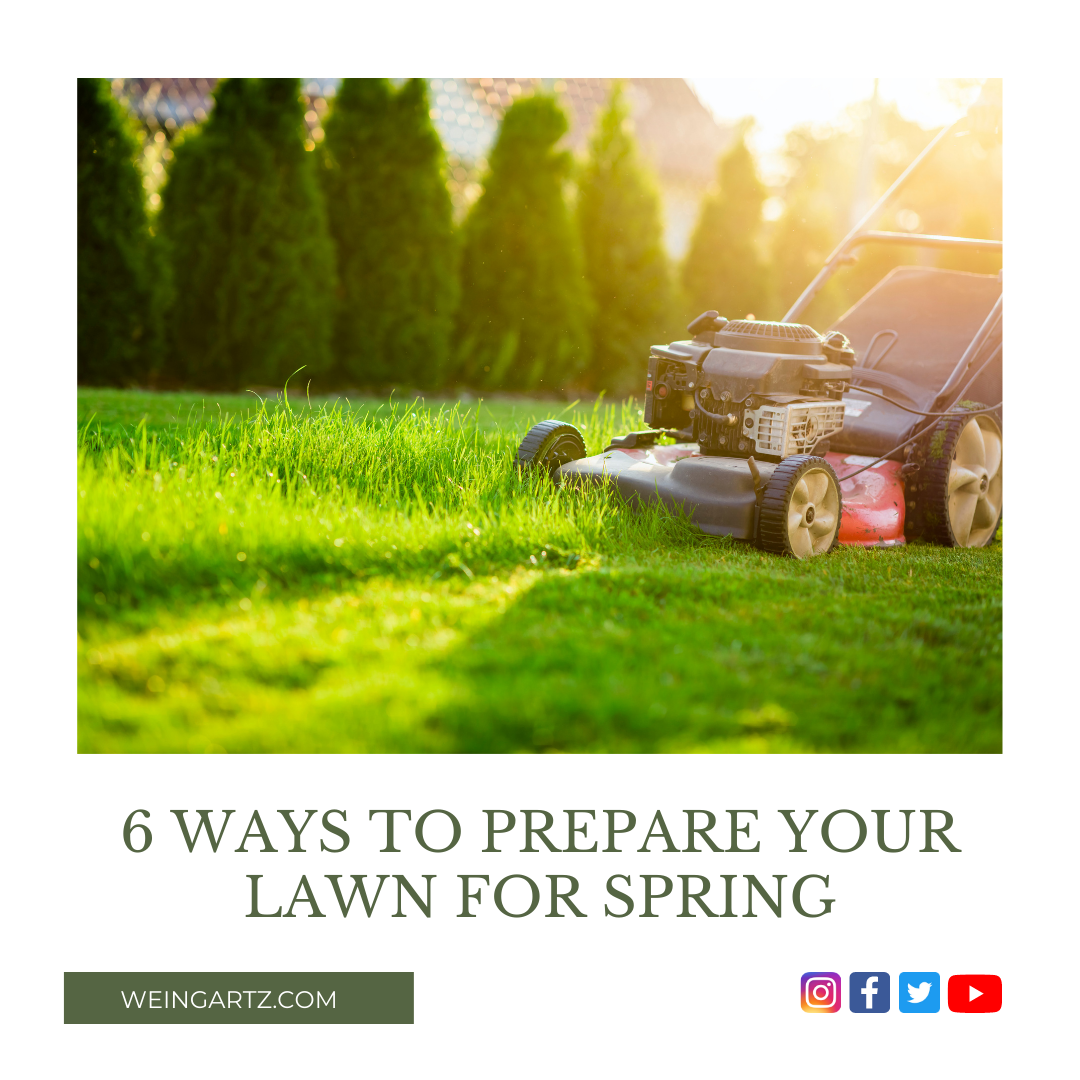 6 WAYS TO PREPARE YOUR LAWN FOR SPRING