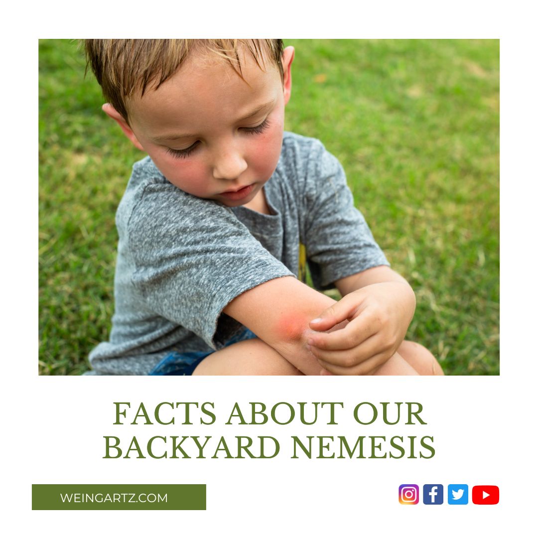 FACTS ABOUT OUR BACKYARD NEMESIS