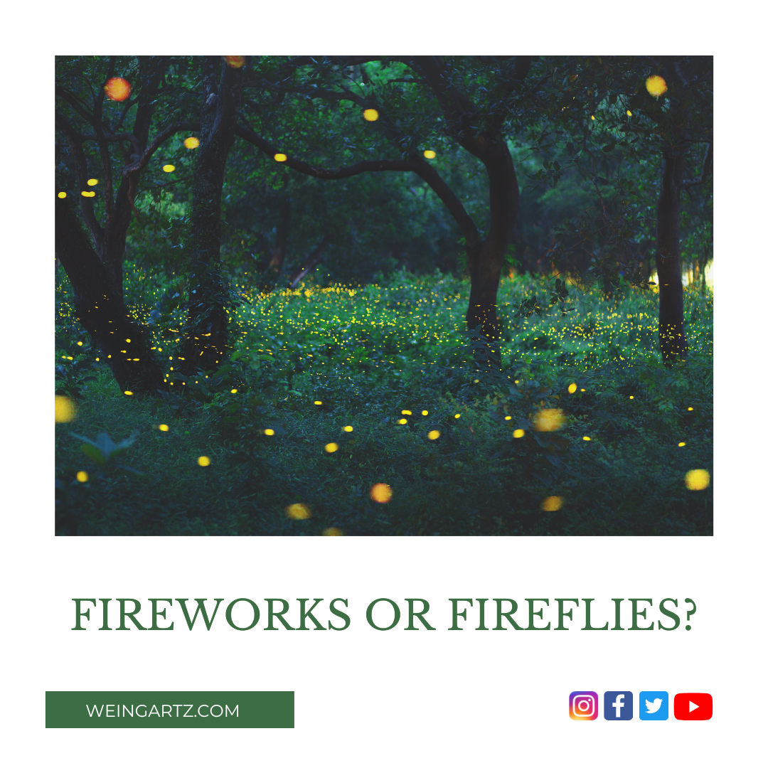 FIREWORKS OR FIREFLIES
