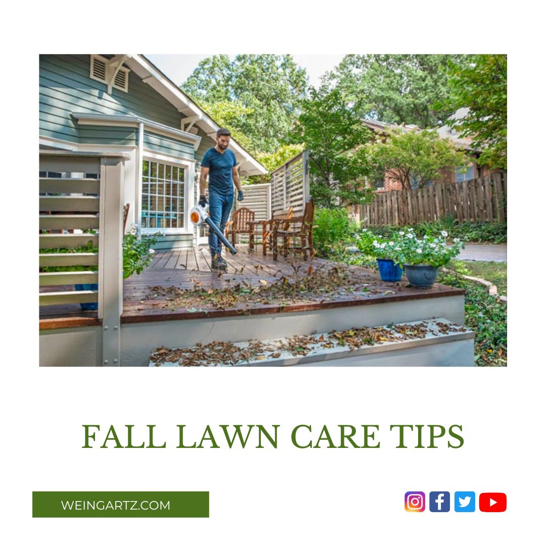 FALL LAWN CARE TIPS