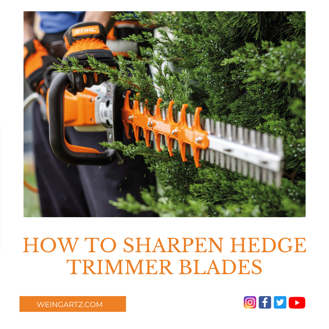HOW TO SHARPEN HEDGE TRIMMER BLADES
