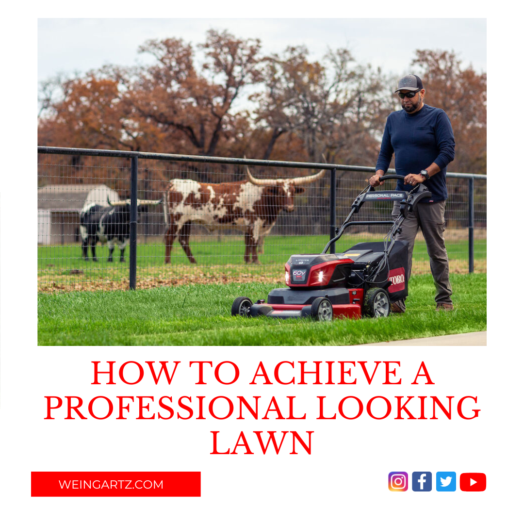 HOW TO ACHIEVE A PROFESSIONAL LOOKING LAWN