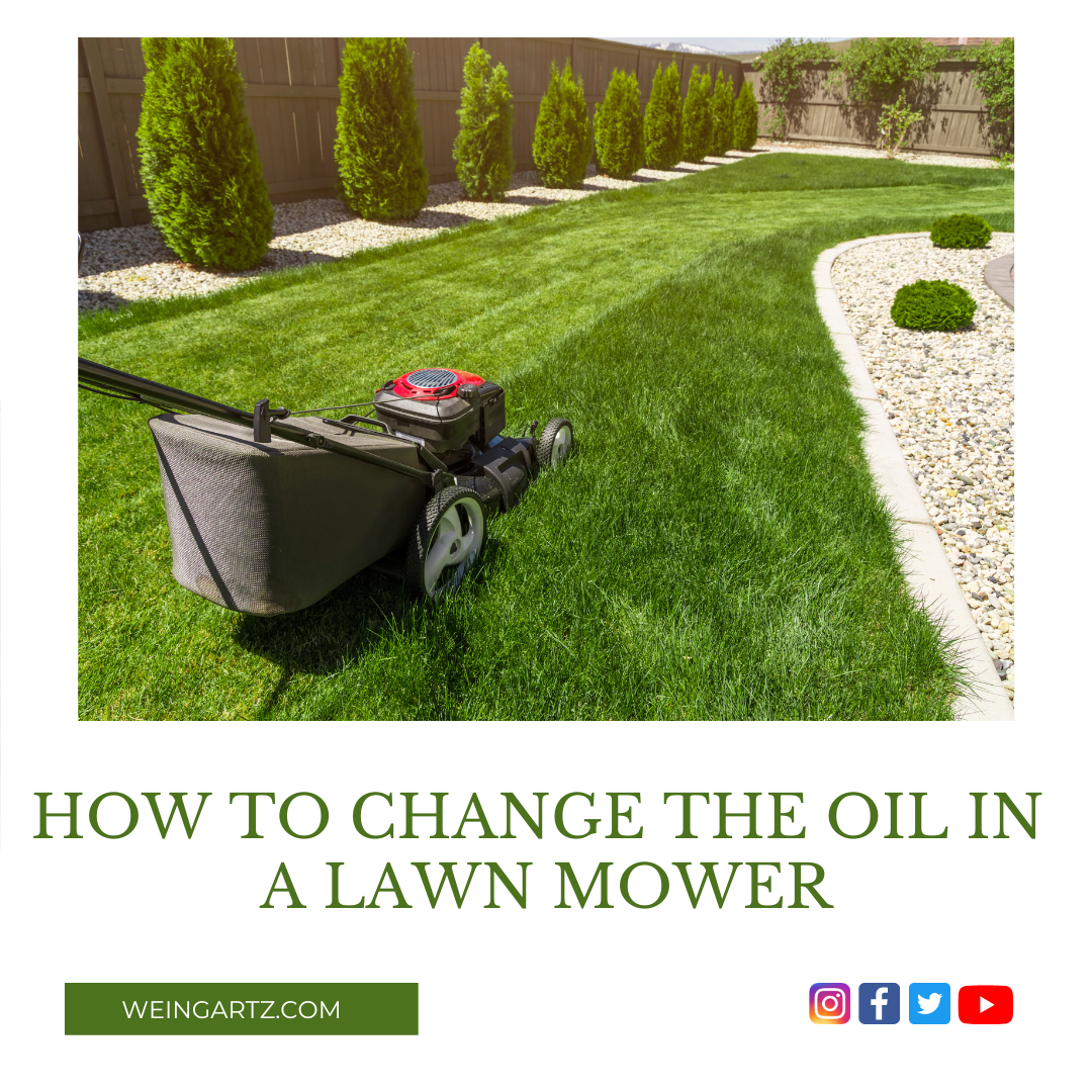 HOW TO CHANGE THE OIL IN A LAWN MOWER