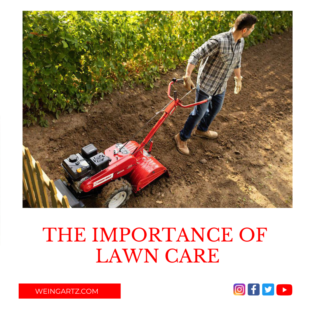 THE IMPORTANCE OF LAWN CARE