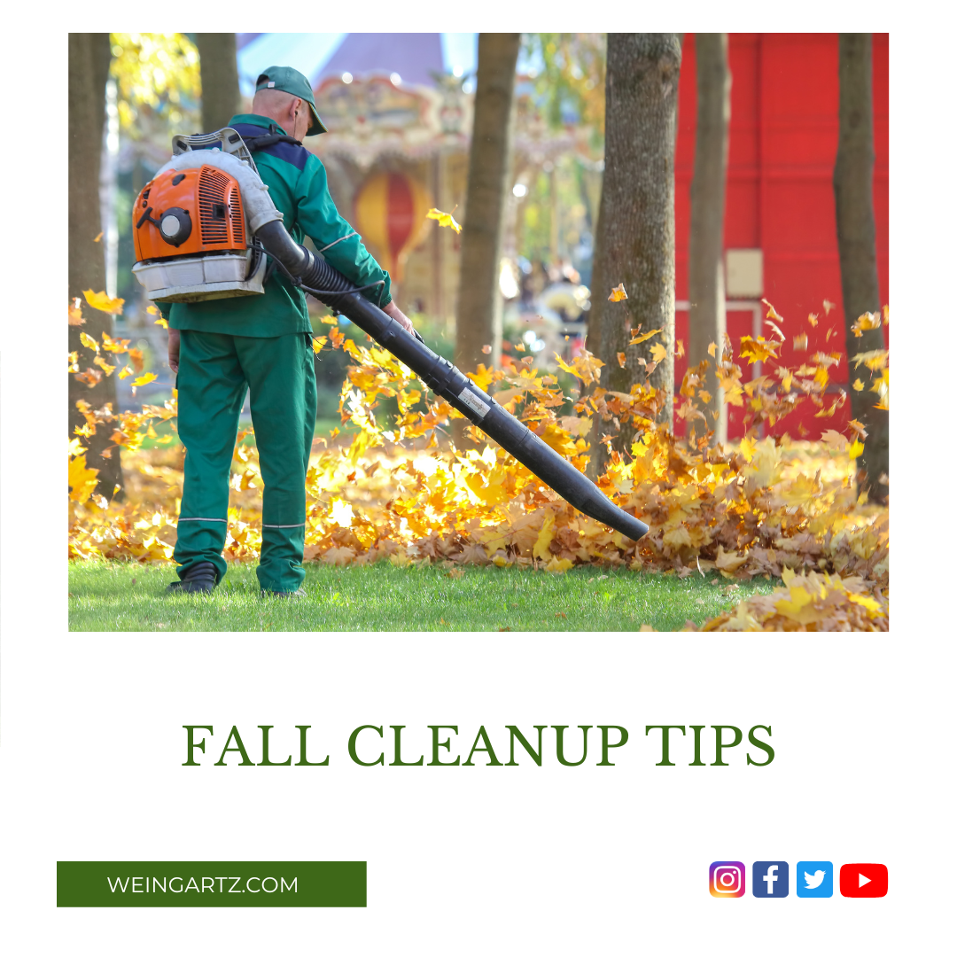 FALL CLEANUP TIPS