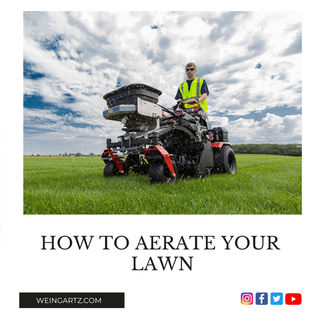 HOW TO AERATE YOUR LAWN
