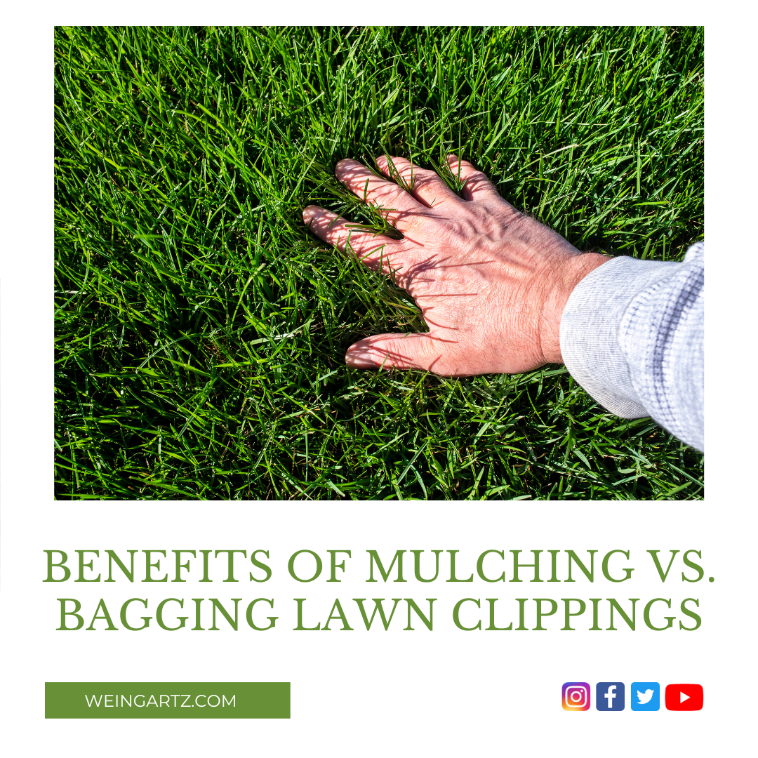 BENEFITS OF MULCHING VS. BAGGING LAWN CLIPPINGS